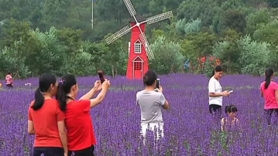 平远国庆旅游收入3.59亿元！看哪个景区最“吸金”...