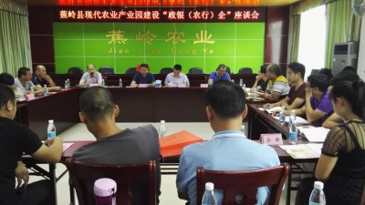 蕉岭县召开现代农业产业园建设“政银企”座谈会