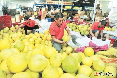 在家乡就能致富！电商激发平远农业农村发展动力