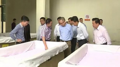 工业和信息化部原材料工业司领导到平远调研