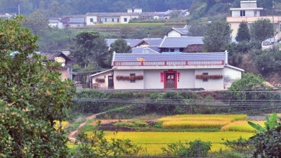 十月金秋 叠翠流金，平远畲脑村间绘出一幅美丽画卷