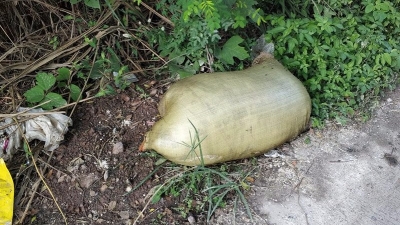 隔着屏幕都能闻到恶臭...梅江区这段路死猪乱丢现象频现