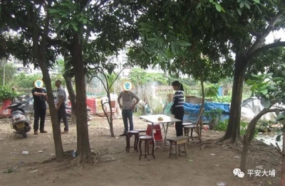 端赌窝！这几个大埔人聚起来“掷骰子”？拘起来！