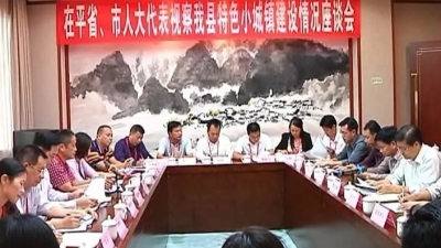 在平省市人大代表视察平远县特色小城镇建设工作