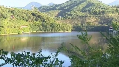 造林见成效！梅县区入选广东造林工程管理模式改革试点