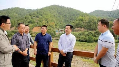 朱汉东到大埔西河镇调研：打造特色乡村 促进农民增收
