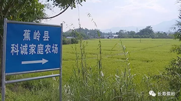 蕉岭打好富硒牌，奏响长寿健康产业“进行曲”