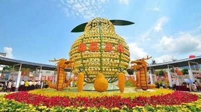 “柚”会在终点等你！最“柚”味道的梅州马拉松送福利啦