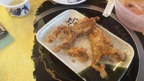 宵夜党注意啦！广东又有人“尝鲜”吃蟾蜍中毒身亡！