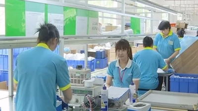 习近平总书记视察广东重要讲话精神引发蕉岭各界热烈反响