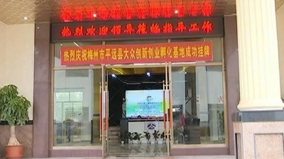 拎包入驻创业！平远四大创业孵化基地为创业者搭“舞台”