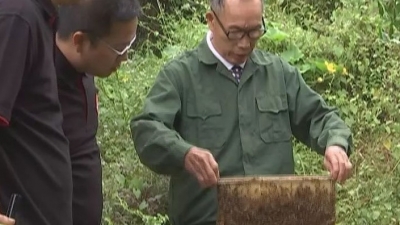 赞！蕉岭三圳东岭村蜂蜜搭上电商快车走出深山