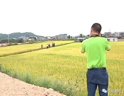 平远全力以赴做好徒步大会现场宣传前期准备工作