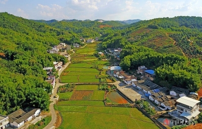 理论丨谈谈新时代乡村旅游几个相关问题