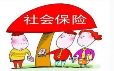 张晨：加快工作进度，确保完成今年社会保险扩面征缴任务