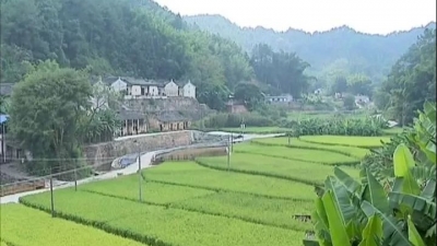 钟光灵到南口镇调研扶贫工作：强化党建引领 助力脱贫攻坚