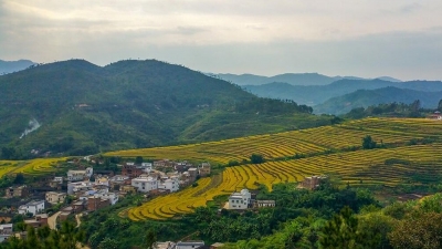 定了！大埔正式启动“世界长寿乡”创建工作