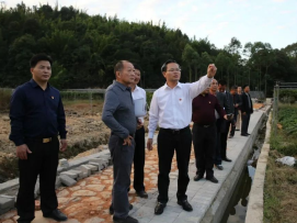 曾永祥率队到丰良镇三山村调研时强调：努力推动乡村振兴“出新出彩”