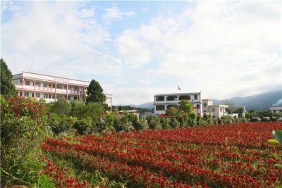 “空气清新！风景很棒…”蕉岭这个地方让众多网络主播点赞