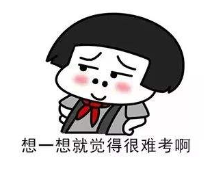 中文明年将被纳入俄罗斯国家统一考试外语科目