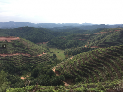 8000万大手笔！华农大产业学院落户五华 预计2021年建成