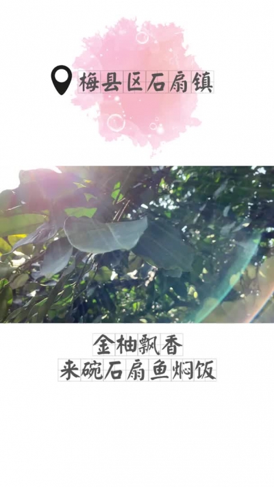 抖一下！不是每碗米饭，都叫“石扇鱼焖饭”（上）