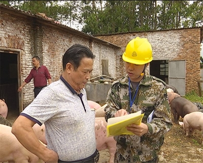 以拆促治，蕉岭长潭镇全力打好生猪养殖污染整治攻坚战