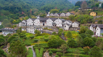 每村6万/年！省财政设专项经费支持村党组织为群众办实事