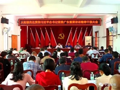 平远城乡深入学习贯彻习近平总书记视察广东重要讲话精神