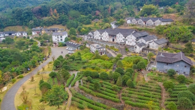 贾绍明到梅县区调研：高质量推进“四好农村路”建设