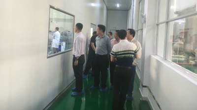 中国石化广东石油分公司调研组来梅调研，吴泽桐陪同