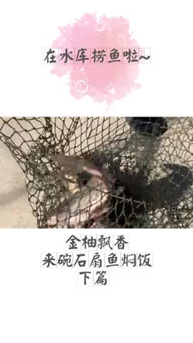 抖一下！不是每碗米饭，都叫“石扇鱼焖饭”（下）