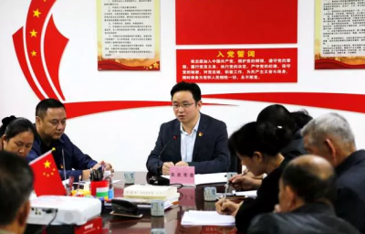 蓝欣到大埔大安村宣讲习近平总书记视察广东重要讲话精神