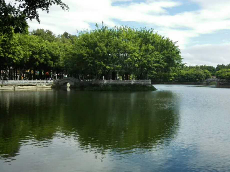 煞风景！梅城“颜值担当”遭踩踏，这样的“玩耍”要不得