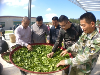 来比拼一下，谁的制茶功夫最牛！广东省茶叶产业研讨培训班在梅开班