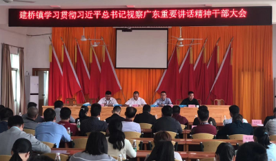 丰顺建桥镇学习贯彻习近平总书记视察广东重要讲话精神