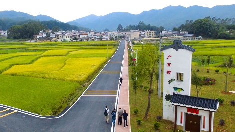 下足“绣花”功夫 筑牢振兴基石！“世界寿乡·富美蕉岭”建设迈上新征程