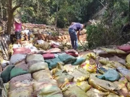 可恶！这群人竟然躲在深山里干这事…兴宁警方零容忍