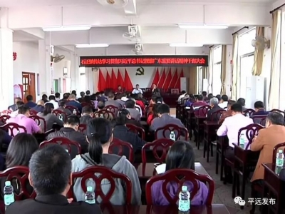 平远镇村传达学习贯彻习近平总书记视察广东重要讲话精神