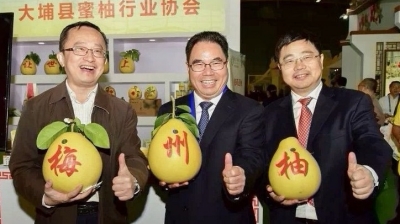 为梅州柚打call！副省长叶贞琴鼓励梅州做大做强柚果产业