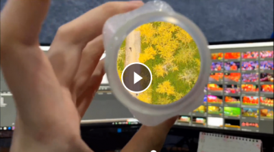 V视频丨办公室美少女的许愿瓶