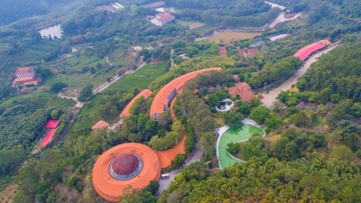 英国客商到梅县区考察，促进双方经贸文化交流合作