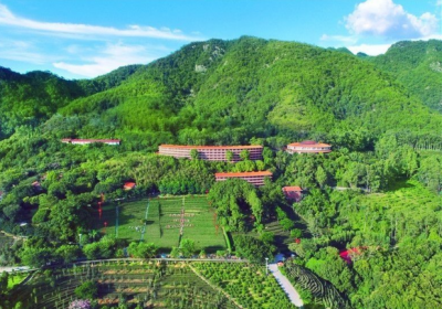 理论丨让生态文明之花在梅州美丽绽放