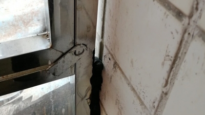 便利变闹心！收尾工程引纠纷，已交付使用的电梯被停用