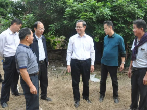 曾永祥率队到留隍镇调研时强调：扎实推进国家特色小镇创建工作