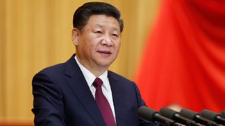习近平向国家综合性消防救援队伍授旗并致训词