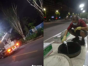 注意关好门窗！明起至月底，梅城路树将喷药杀虫