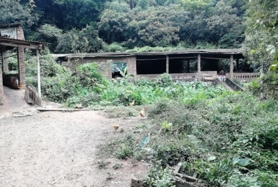 限期整改不到位，梅县鱼田村这家养猪场被强制清场