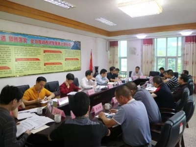 市人大办调研组到大埔调研：确保农村住宅建设健康有序发展