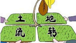 怎么破？平远一土地纠纷难以调解，只因一纸协议…